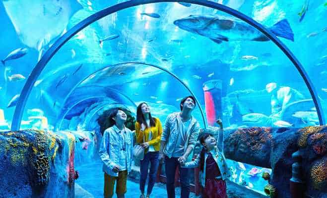 Aquarium at Legoland, Johor Bahru Malaysia
