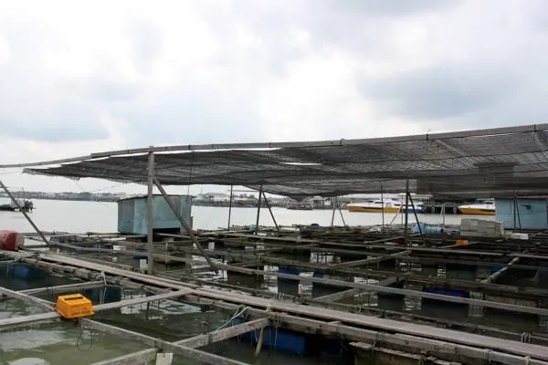 Kukup Fishing Village in Johor Bahru Malaysia